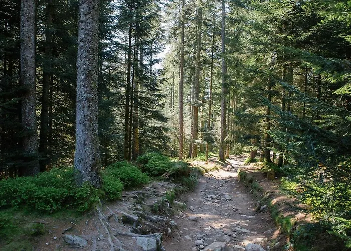 Horská chata Le Refuge Du Cerf *